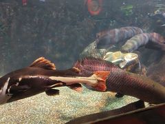 -太平洋海底世界