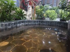 -兴芮温泉度假区