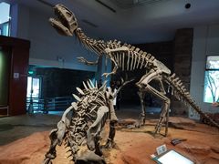 -自贡恐龙博物馆