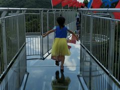 -呀诺达热带雨林