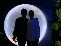 -天津梵高星空艺术馆(天河城旗舰店)