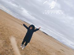 -贡格尔草原