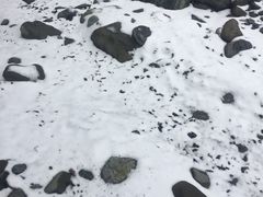 -九峰山