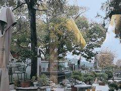-蘇河湾·新鲁菜·泰山宴(泰山店)