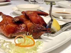 -金悦轩海鲜酒家(银河店)