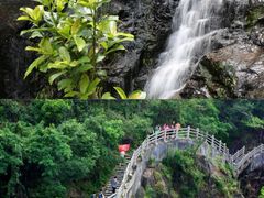 -东莞市大岭山森林公园