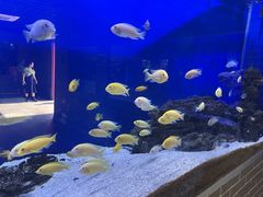 -杭州野生动物世界