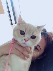 -奈瑞儿美养院·身体调养·美颜