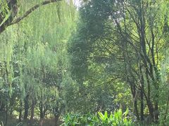 -同里国家湿地公园