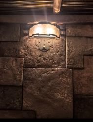 -翱翔飞越地平线