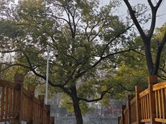 -甘棠公园