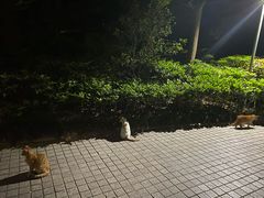 -招商银行(上海常德支行)