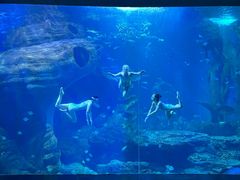 -多彩贵州城极地海洋世界