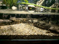 -太平洋海底世界