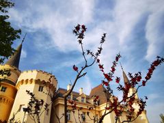 -北京张裕爱斐堡酒庄