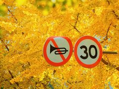 -上海交通大学(闵行校区)