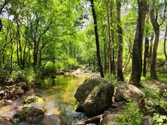 -玉渡山自然风景区