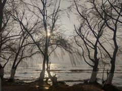 -捞渔河湿地公园