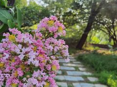 -国家植物园
