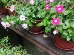 -巴金故居