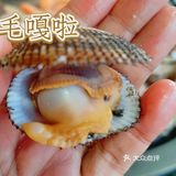 我吃到的超绝地方菜 | 青岛小海鲜[礼花]