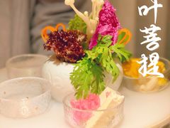 -叶叶菩提(太原别墅店)