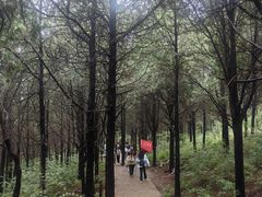 -龙洞风景区-藏龙涧