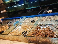 -川骄海鲜自助(亚运村店)