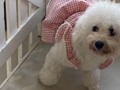 -怪兽屋·羊驼·猫咖·狗咖(俊华广场店)