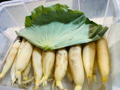 -巩本明鱼屋子
