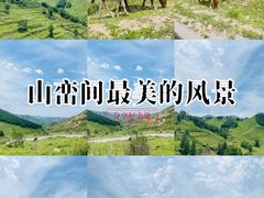 -灵山