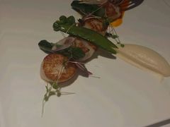 -蝶舍·MAISON PAPILLON