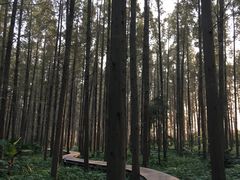 -上海怡沁园度假酒店
