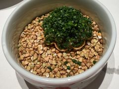 -觀芷隐轩