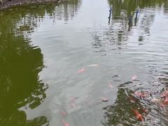 -海南文笔峰盘古文化旅游区