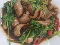 香菜拌猪腰-聪辉同安老美食饭店(大元路店)
