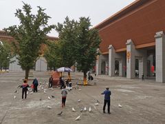 -法门文化景区