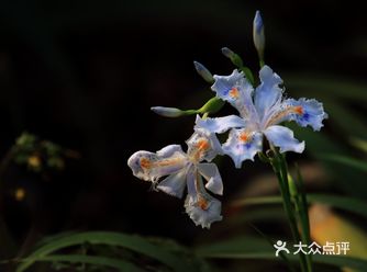 交往的艺术 我们两个人