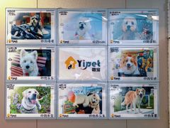 -翊宠yipet猫狗购宠庄园犬舍•猫舍