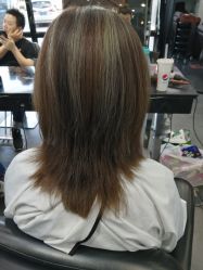 -风向标WIND VANE SALON