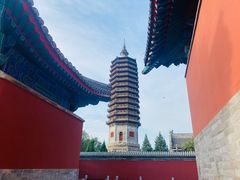 -西海子公园