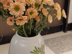 -南堂馆·新川菜(春熙路店)