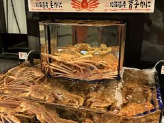 -蟹道乐(道顿堀本店)