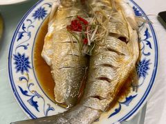 清蒸白丝鱼-状元楼(金溪路店)