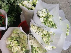 -武汉花鸟市场