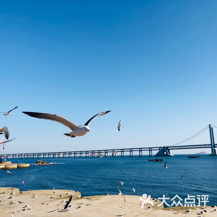 星海湾海水浴场