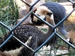 -石家庄市动物园