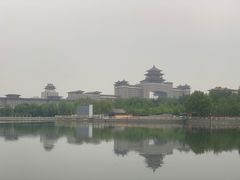 -莲花池公园