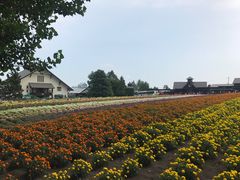 -富田农场
