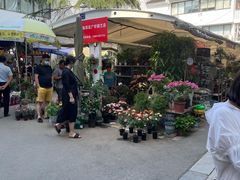 -苏州艺都古玩花鸟市场